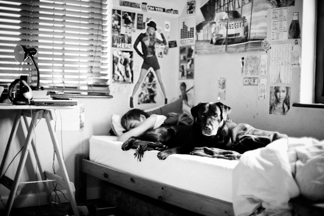 Even the Dog smells the ordinary...or the socks...