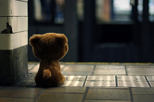 waiting-bear