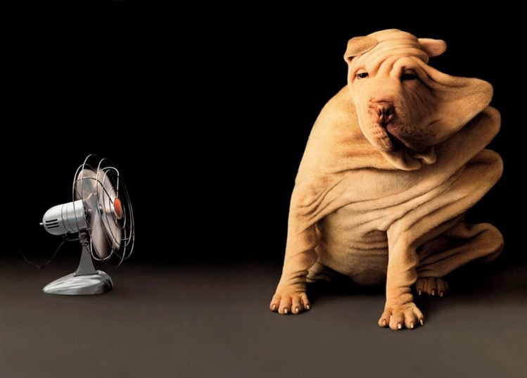 blown-away-08abcd26-65b3-4688-8616-31dc7df23bd3