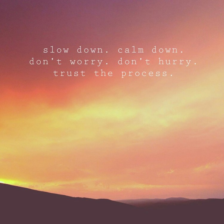 22f162a1c800e1fef3b38125bf73e28a