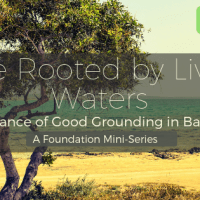 Tree Rooted by Living&nbsp;Waters